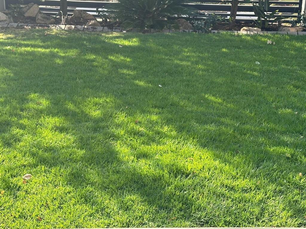 Go Instant lawn in Randburg - Image 17