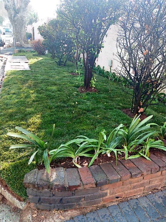 Go Instant lawn in Randburg - Image 19