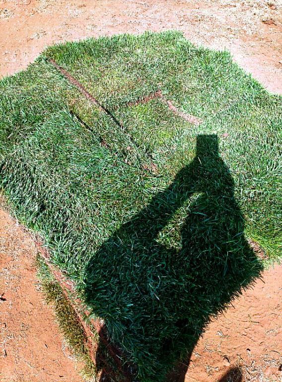 Go Instant lawn in Randburg - Image 18