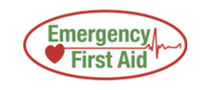 Emergency First Aid in Kildare - Image 1