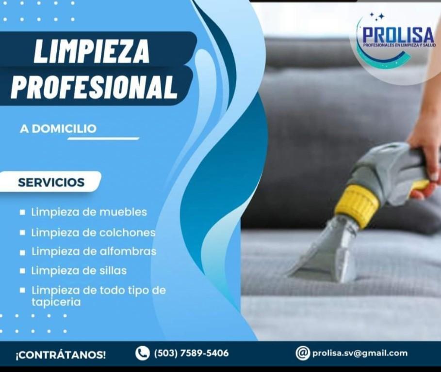 Limpieza y desinfección profesional de salas a domicilio. en San José Villanueva - Imagen 5