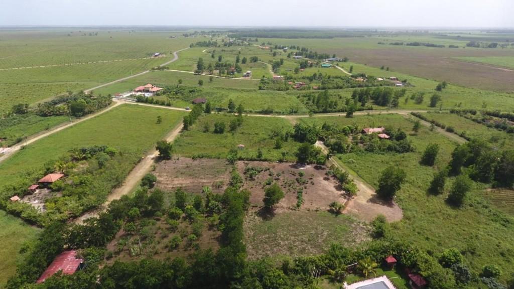 Proyecto Ecoturístico Lago de Reyes en Bayaguana - Imagen 4
