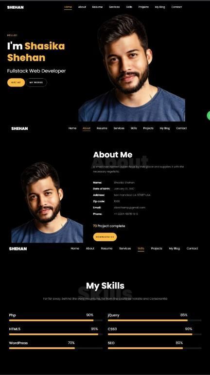 Muzzamil Ahmed Khan WordPress Developer, Designer in Wah Cantt - Image 11