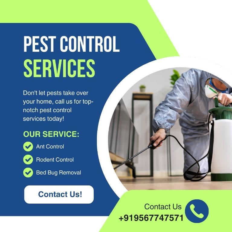 Clean & Shine Housekeeping Service in Kaudiar - Image 2