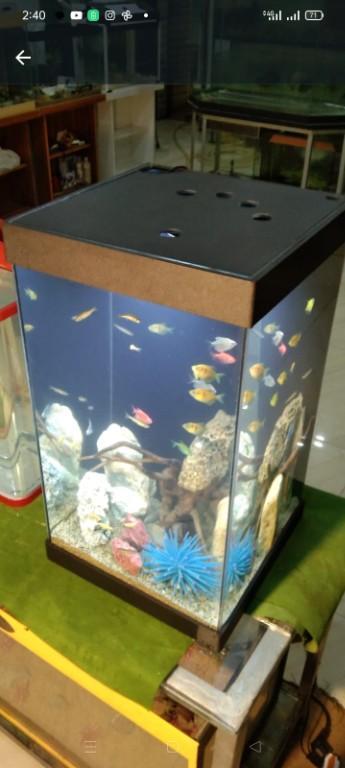 Side table aquarium in Cantonment - Image 5