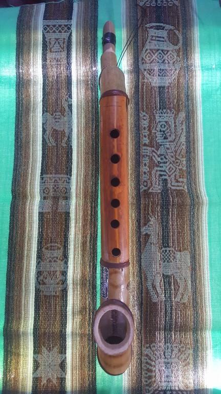 VENTA DE INSTRUMENTOS MUSICALES ANDINOS PROFESIONALES en Iztapalapa - Imagen 19