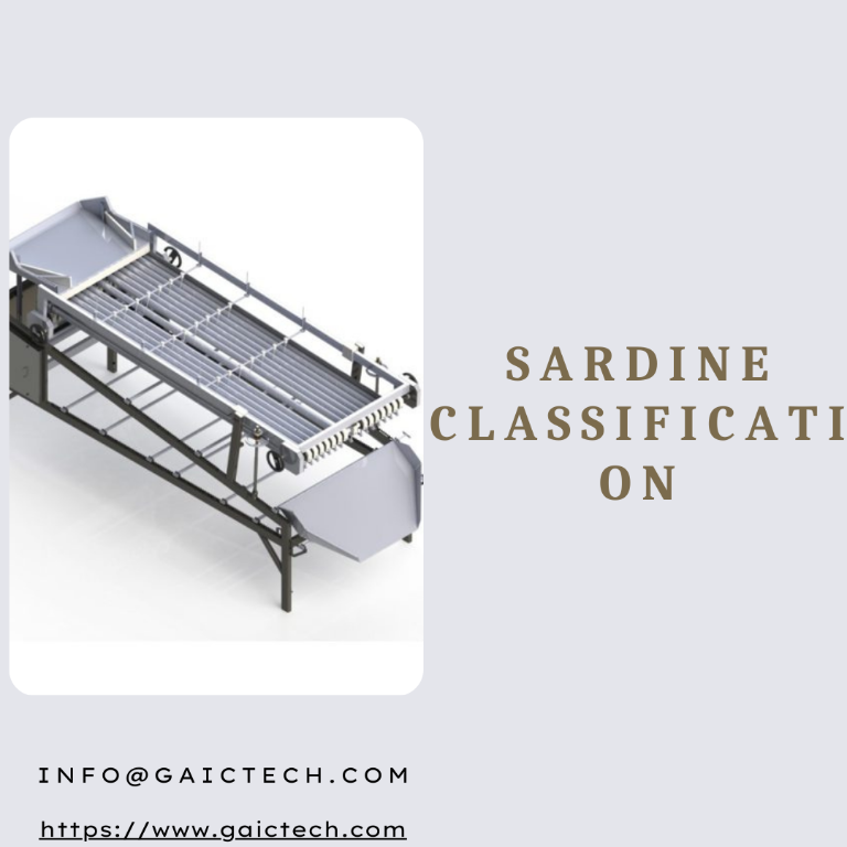 Exploring Sardine Classification en Vigo - Imagen 1