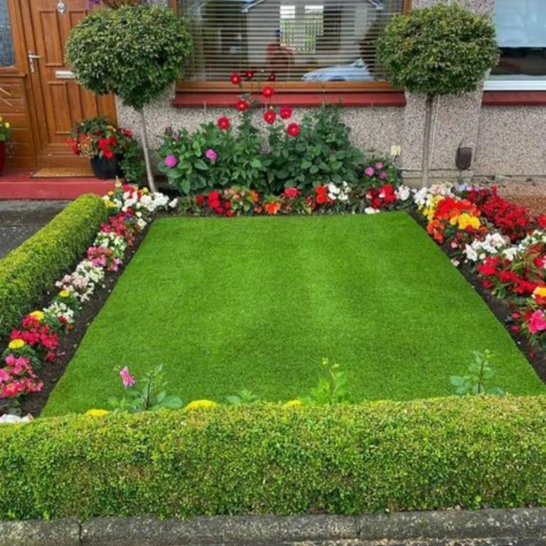 Garden Service Skerries in Dublin - Image 4