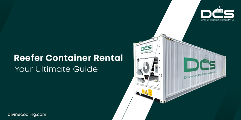 Refrigerated Container on Rent in Delhi NCR in India - Image 2