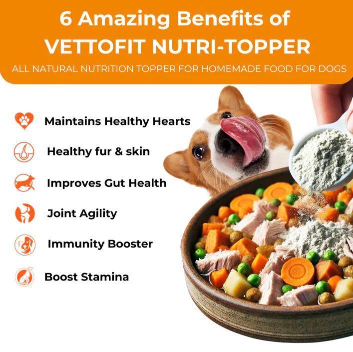 All Natural Joint supplement for Dogs in Kasturba Road - Image 2