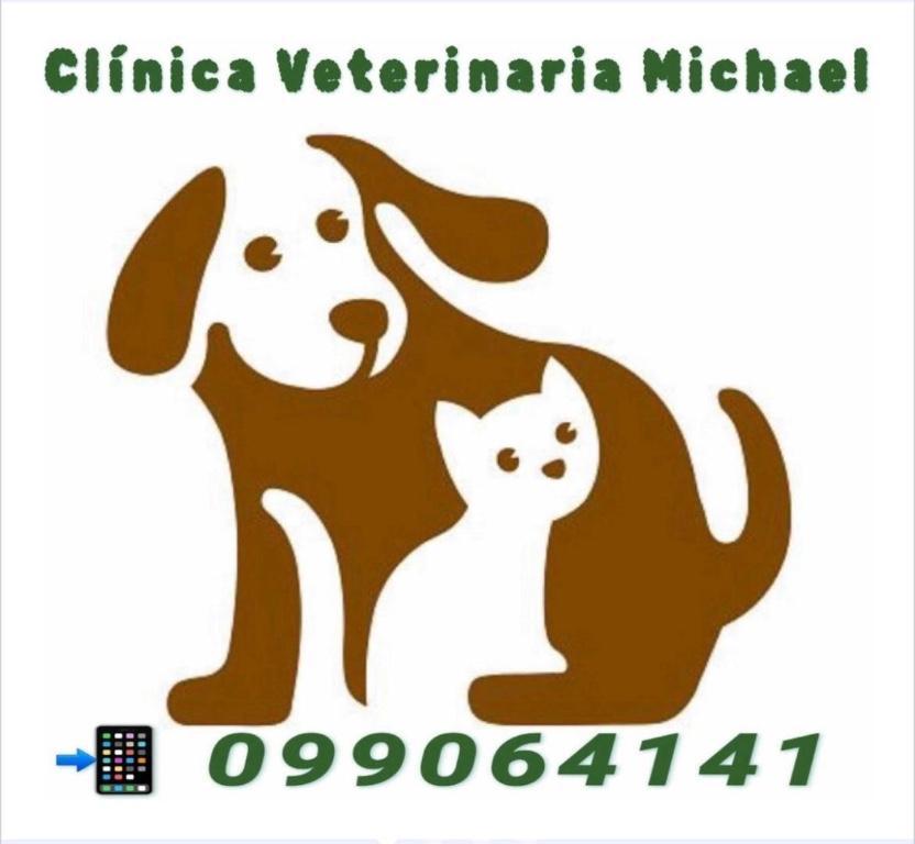 VETERINARIA MICHAEL - CASTRACIONES en Barros Blancos - Imagen 2