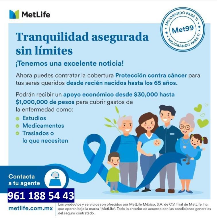 Seguro Individual en Tuxtla Gutiérrez - Imagen 2