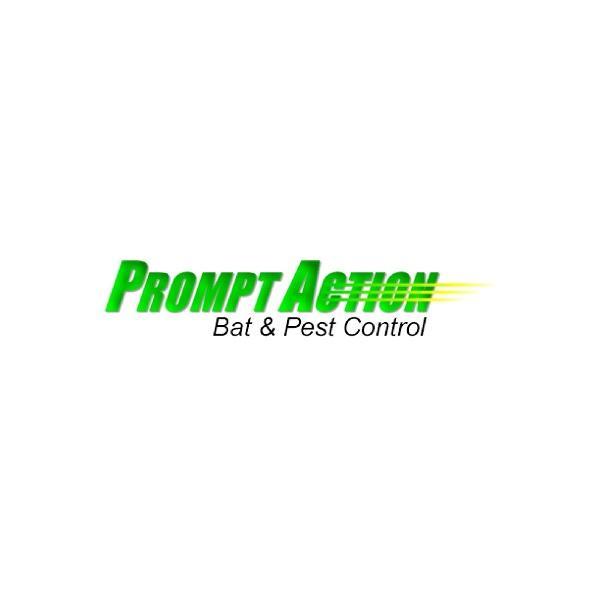 Prompt Action Bat & Pest Control in Appleton - Image 1