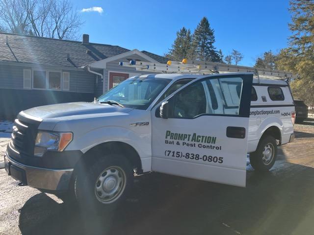Prompt Action Bat & Pest Control in Appleton - Image 2