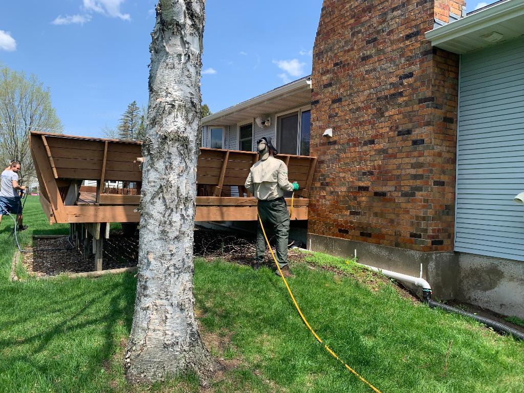 Prompt Action Bat & Pest Control in Appleton - Image 3