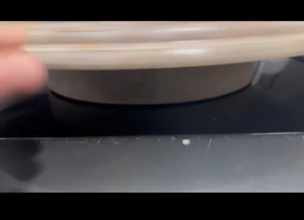 Lazy Susan Turntable with Lemon Design in Phoenix - Image 4