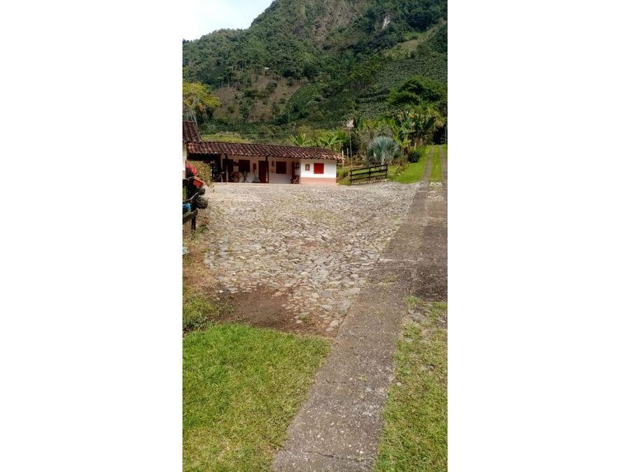 VENTA FINCA EN TAMESIS, SECTOR RIOFRIO en Tuluá - Imagen 2