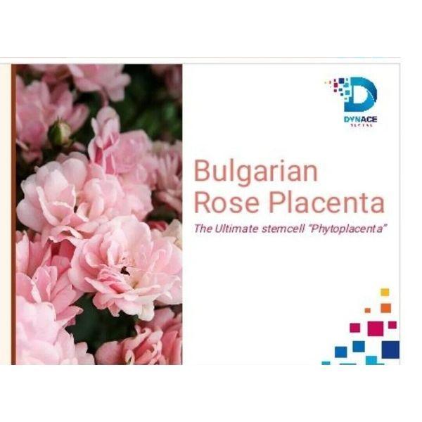 Dynace Rocenta New Botanical Innovation For Immunity in Ghana - Image 9