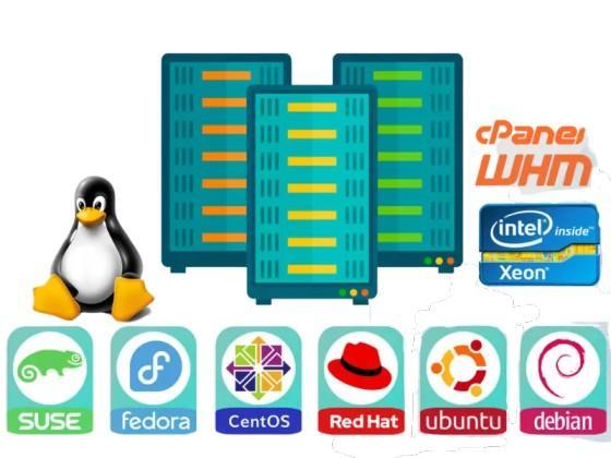 Advanced Linux Dedicated Hosting from Hosting Home in India - Image 3