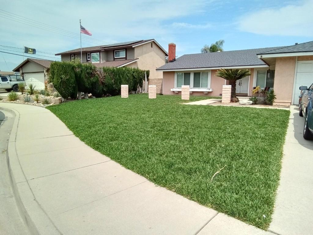 Landscapes services and construction in Apple Valley - Image 5
