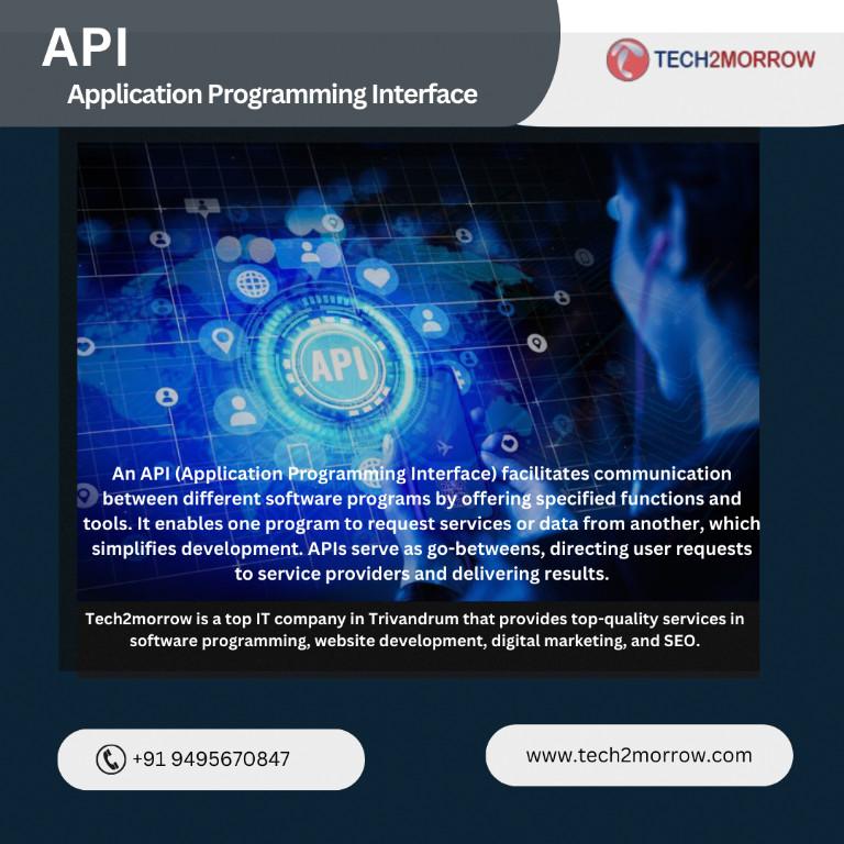 API (Application Programming Interface) in Kovalam - Image 1