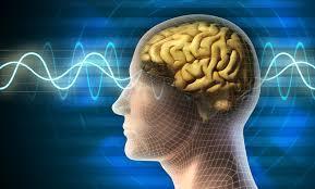 EMF Protection for Modern Living With New Technology in United States - Image 2