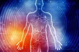 A Simple Way to Stay Safe from EMF Exposure in United States - Image 2