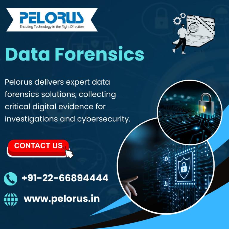 data forensics | Network Forensics in Andheri East - Image 1
