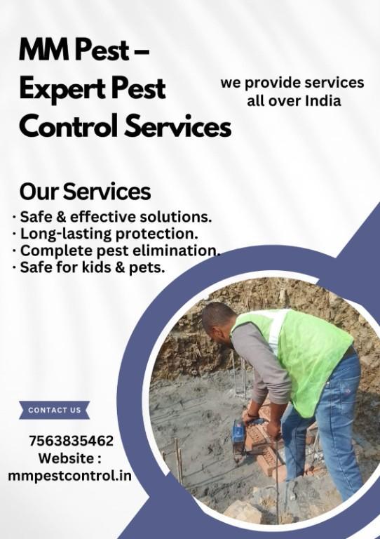 Restore and Protect Your Space with MM PEST Termite Control in Patna - Image 2