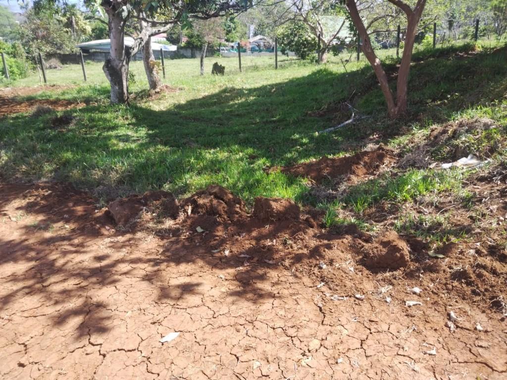 2 BELLÍSIMAS PROPIEDADES EN ATENAS, ALAJUELA. en Naranjo - Imagen 2