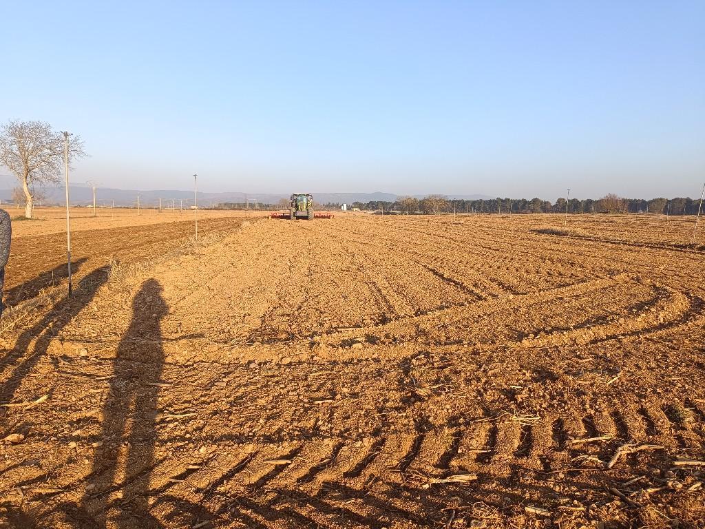 VIBROCULTIVADOR en Zaragoza - Imagen 7
