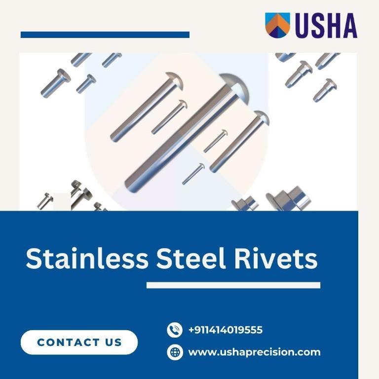 Durable Stainless Steel Rivets by Usha Precision in India - Image 1