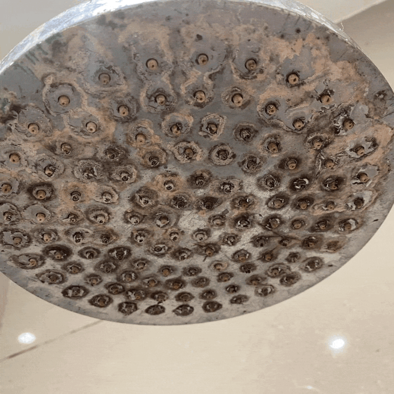 Professional Deep End of Tenancy Cleaning London in Wimbledon - Image 3