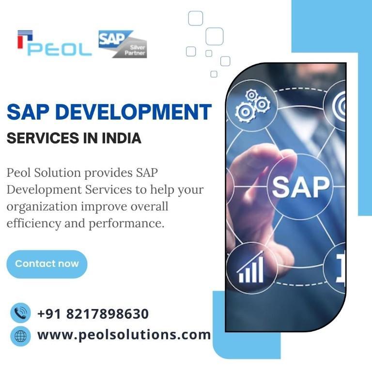 SAP Development Services in India in RajajiNagar - Image 1