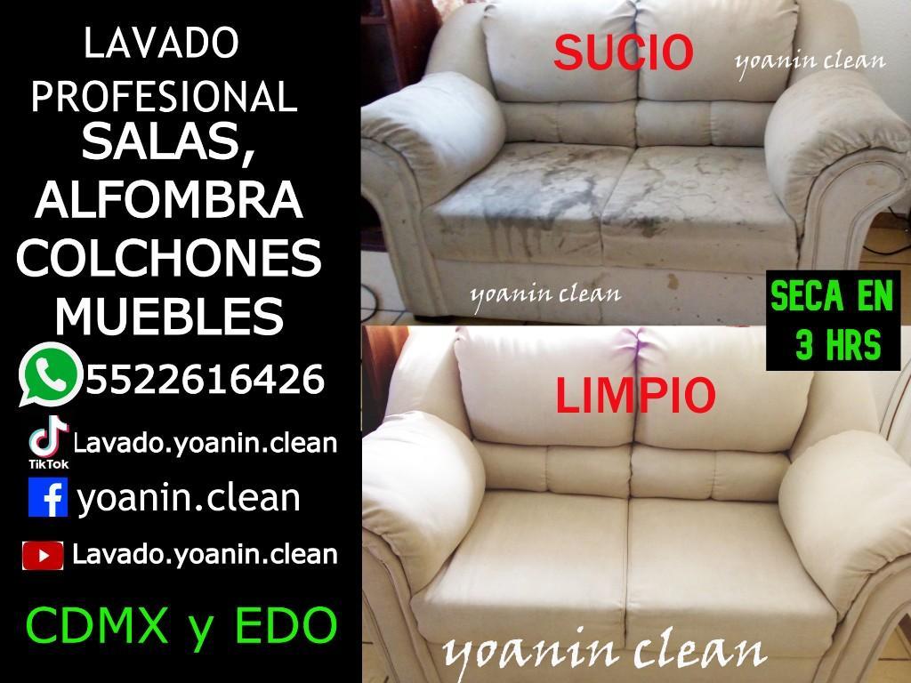 LAVADO PROFESIONAL DE ALFOMBRA,SALAS,MUEBLES en San Pablo de las Salinas - Imagen 4