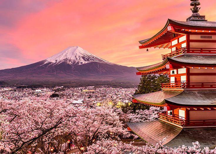 Exciting Japan Group Tour Packages | Book Now in Thane - Image 3