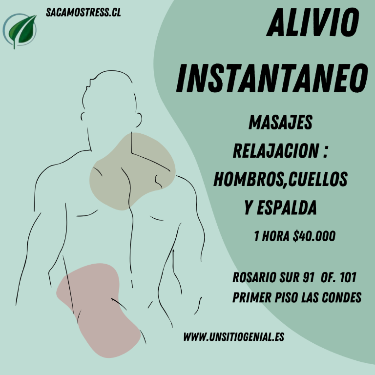 MASAJES RELAJACION SACAMOSTRESS ROSARIO SUR 91/OF101 PRIMER PIS0 en Quinta Normal - Imagen 3