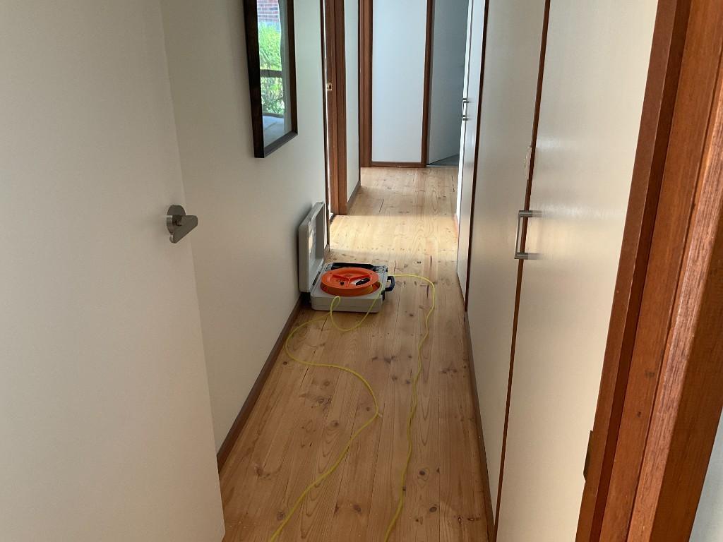Building and Pest Inspection in Fitzroy - Image 6