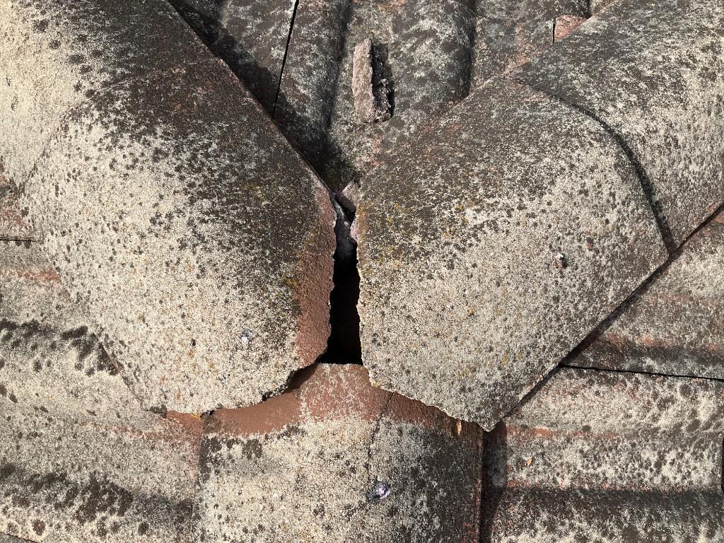 Building and Pest Inspection in Fitzroy - Image 9