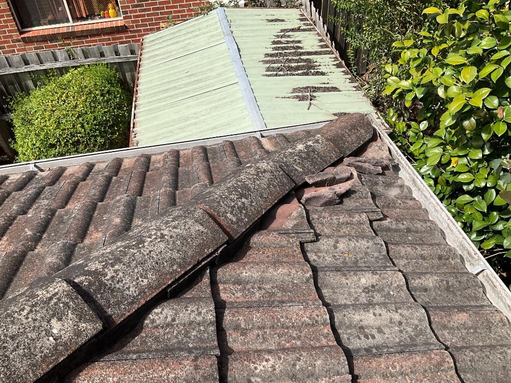 Building and Pest Inspection in Fitzroy - Image 10