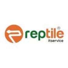 Why Choose Reptile IT Service for Local SEO in Pitampura - Image 2