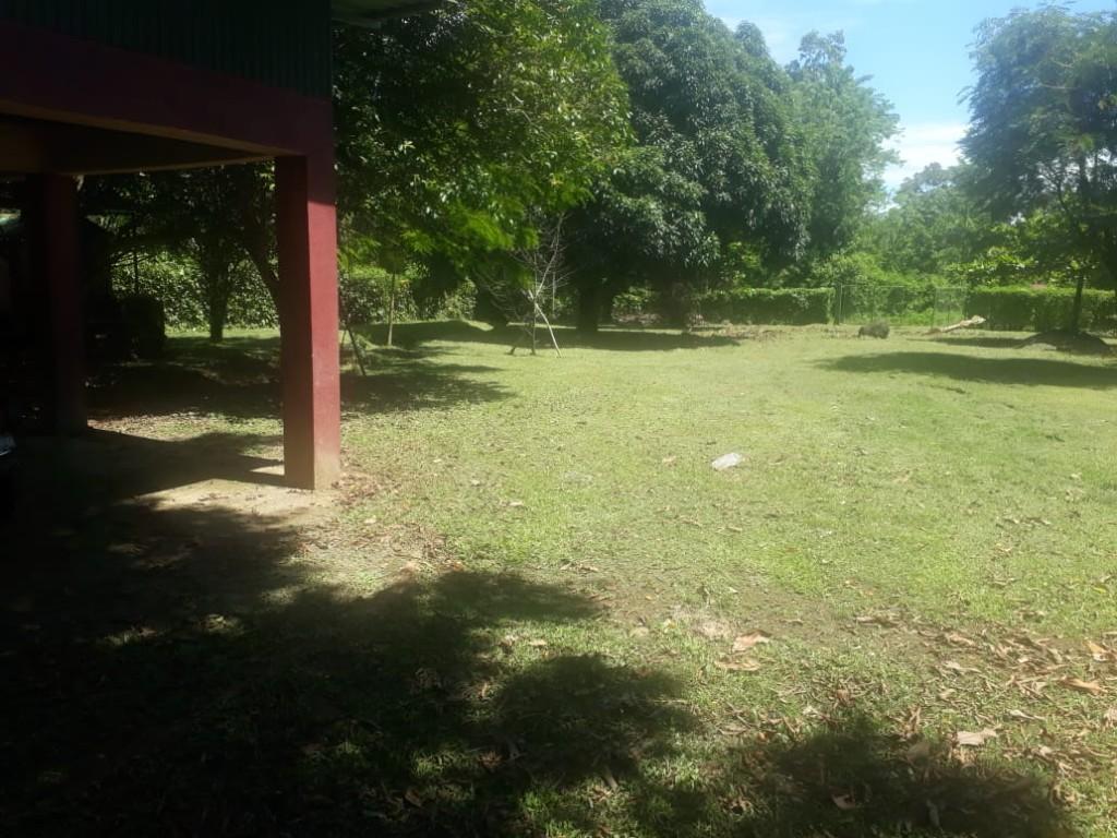 BELLA PROPIEDAD Y 2 CASAS EN PEÑAS BLANCAS. en Naranjo - Imagen 4