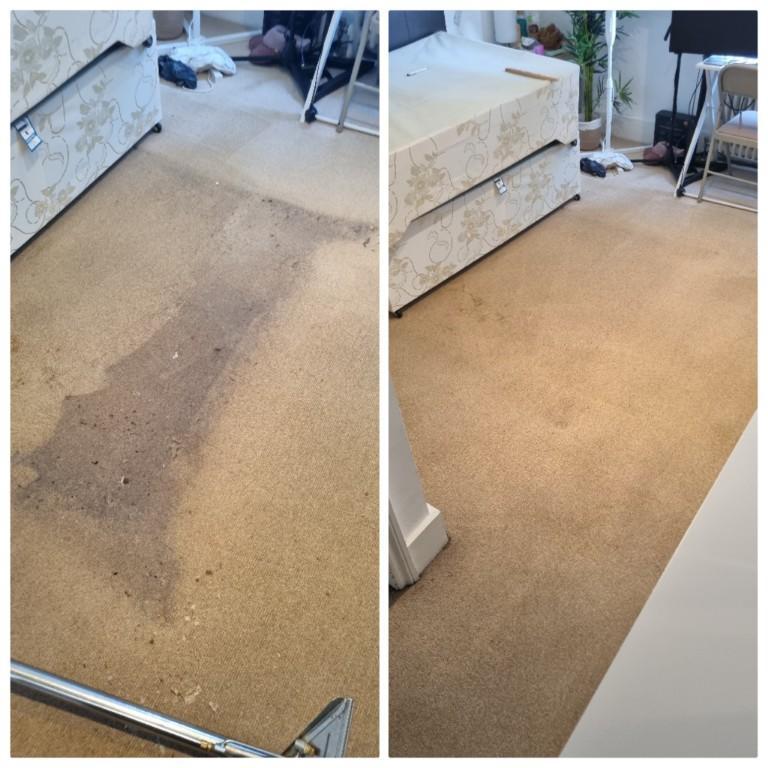 Excellent Carpet Cleaners Bromley in London - Image 7