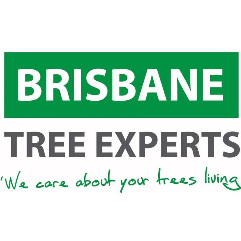 Tree Removal & Lopping Service Brisbane | Stump & Tree Removal in Highgate Hill - Image 1
