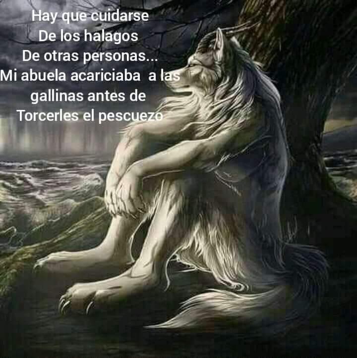 PASEADOR Y CUIDADOR DE PERROS O GATOS ,DEPENDIENDO. en Santa Cruz de la Sierra - Imagen 2