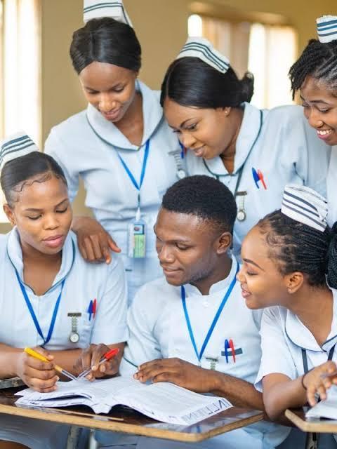 School of Basic Midwifery, Minna, niger state(08063557123) SUP in Minna - Image 1