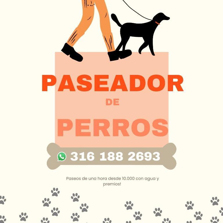PASEOS CANİNOS MADRID CUNDINAMARCA! en Funza - Imagen 1