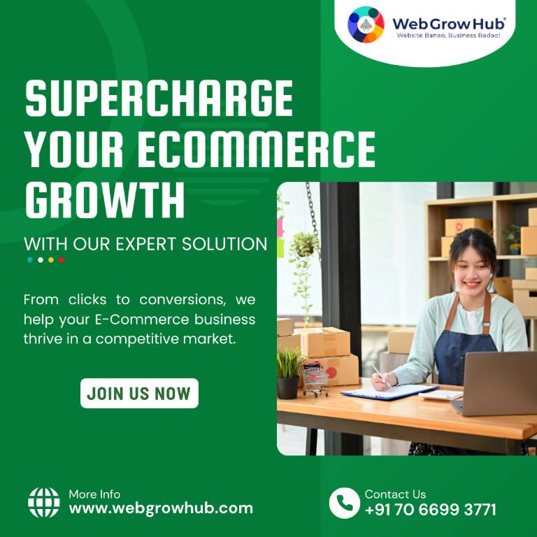 WebGrowHub - Web Design, SEO-Optimized Web Development in Kurla - Image 9