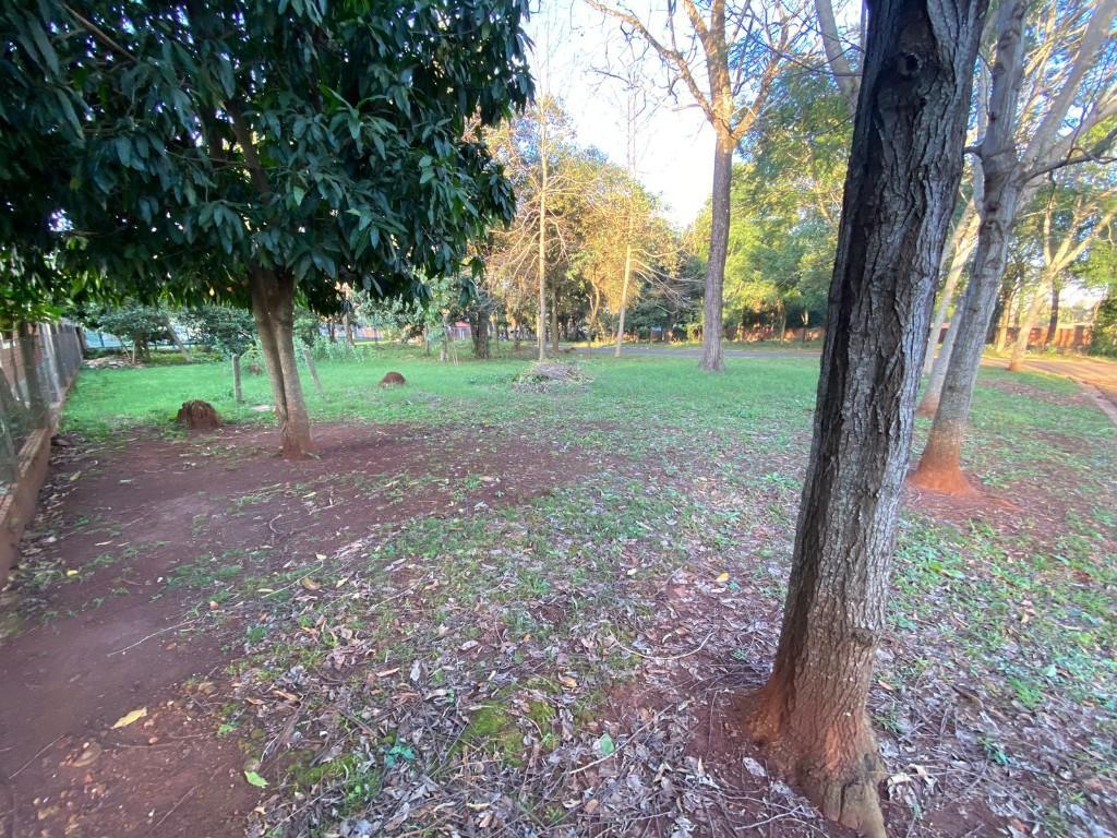 2 lotes juntos de 860 m2 en Obligado centro en Encarnación - Imagen 2