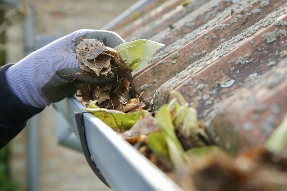 Window Cleaning Service in Edmonton - Image 4